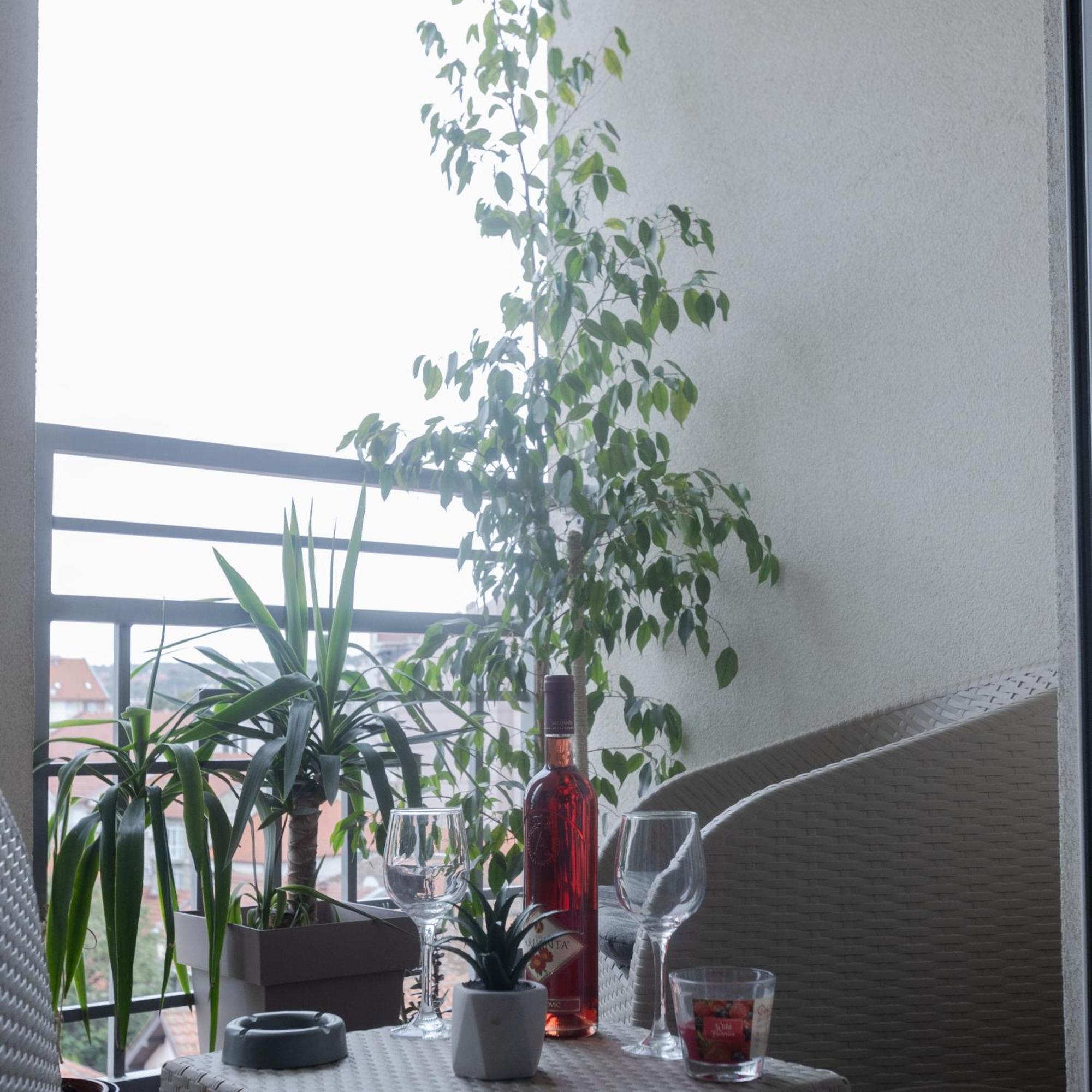 Ferienwohnung Stan Na Dan Aurora Požarevac Exterior foto