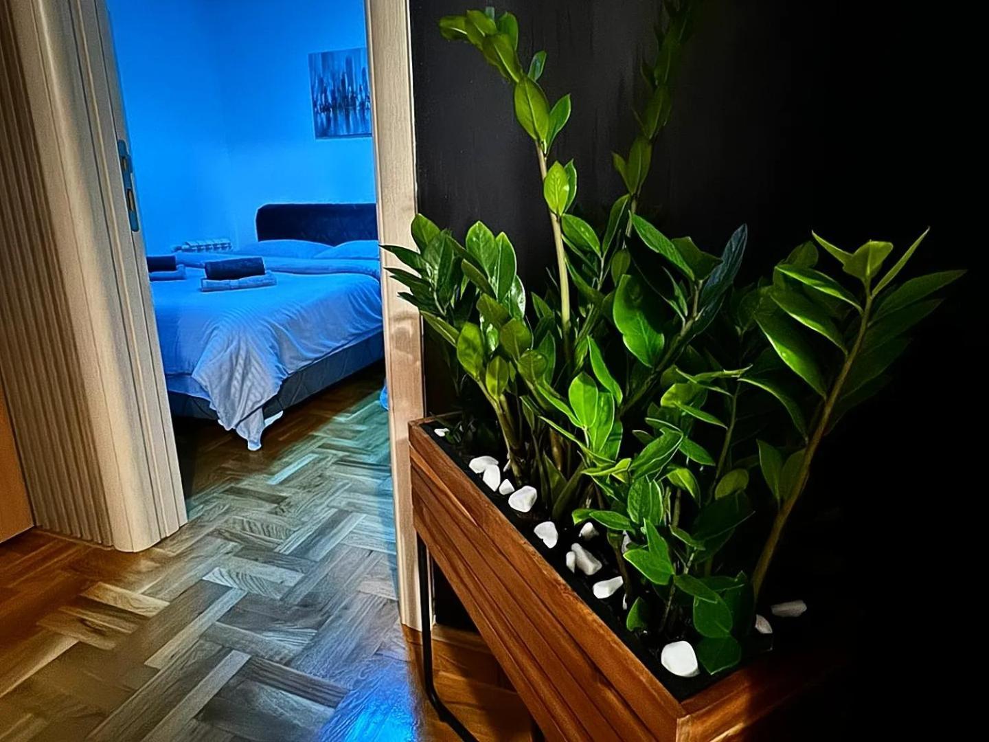 Ferienwohnung Stan Na Dan Aurora Požarevac Exterior foto